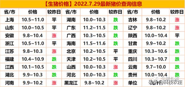 最新猪价格今日猪价格表,今日生猪市场行情一览