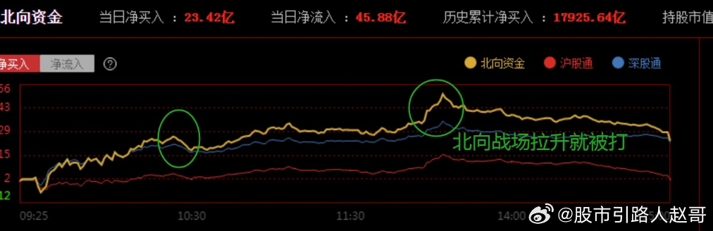 股价,近期市场关注的焦点，某公司股价波动剧烈。