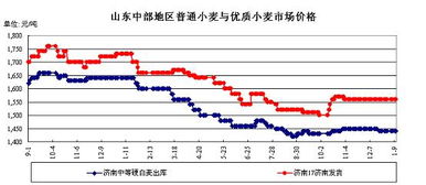 山东今天小麦最新价格,山东小麦市场今日最新行情出炉。