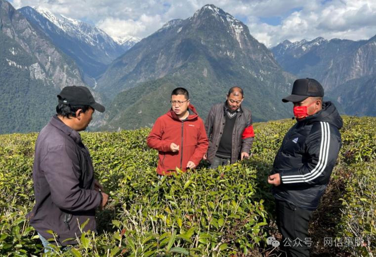 墨脱最新消息,墨脱地区最新动态速递。