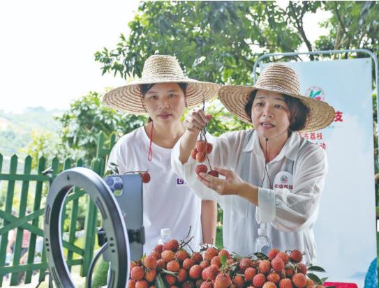 北流最新招聘,北流地区火热招募季，人才盛宴正开启。