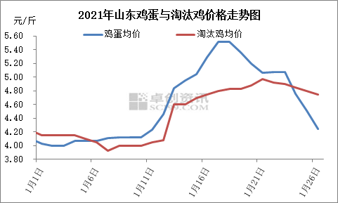 鸡蛋价格最新消息,最新鸡蛋市场价格动态