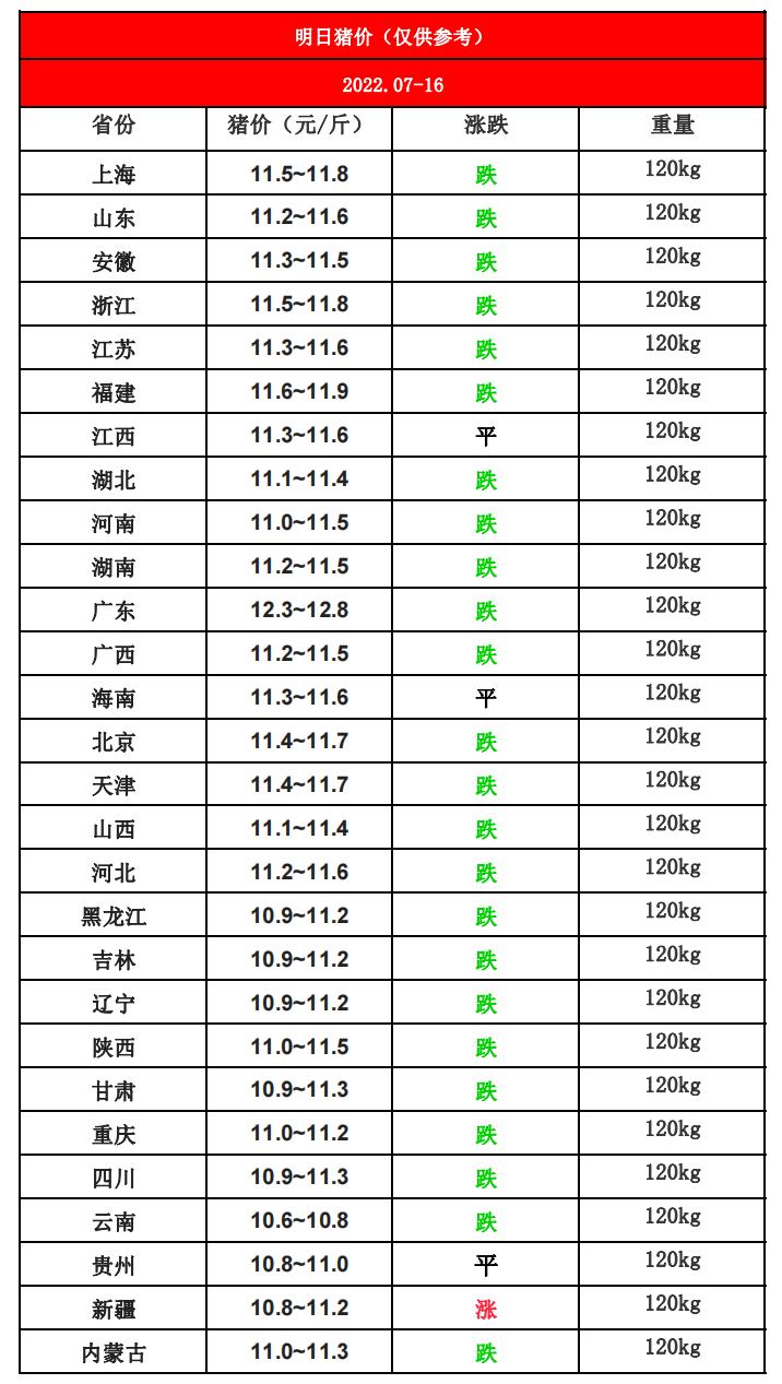 明日最新猪价查询,“实时动态猪市行情速览”