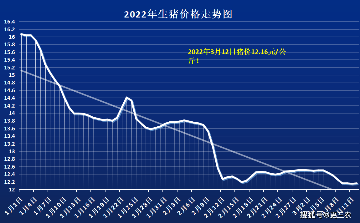 澳门一肖一码期期准资料,物流管理解析落实_跨界制E98.60