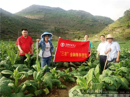 隆林最新新闻,隆林新鲜资讯速递