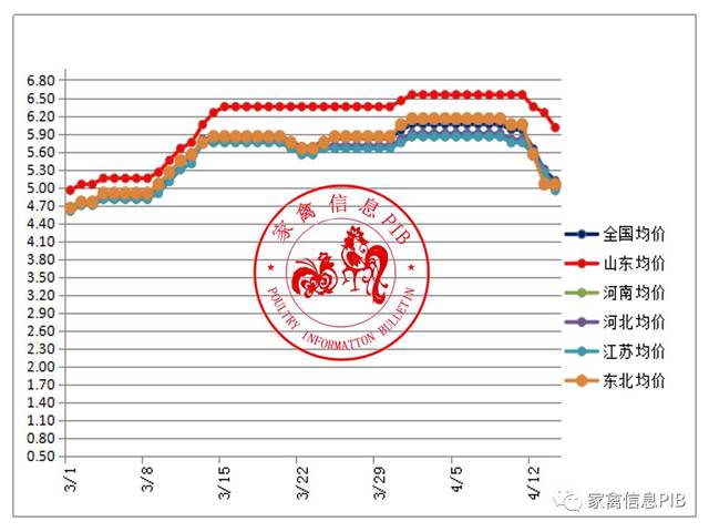 最新毛鸡价格行情走势,实时追踪，毛鸡价格走势持续更新