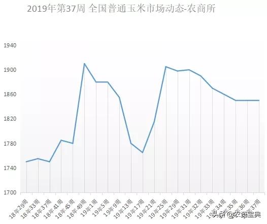 唐山玉米价格最新行情,唐山玉米市场动态，价格波动持续关注。