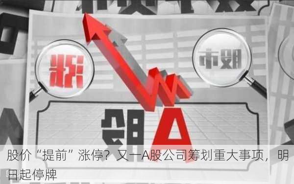 停牌最新规定,“股民关注：最新停牌细则出台”