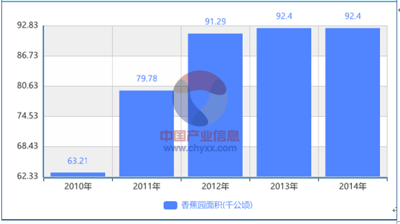 香蕉最新行情,香蕉市场动态更新速递