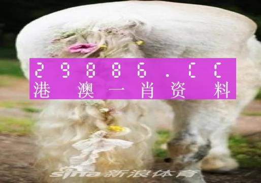 澳门一肖一码一一特一中厂,答答案实案探解案动_示历款H94.875