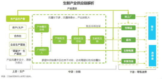 2024新澳资料免费大全,具体分析解答解释技巧_清新型W4.219