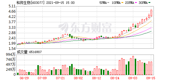 澳门今晚一肖必中特,经济方案解读_自由型R76.101