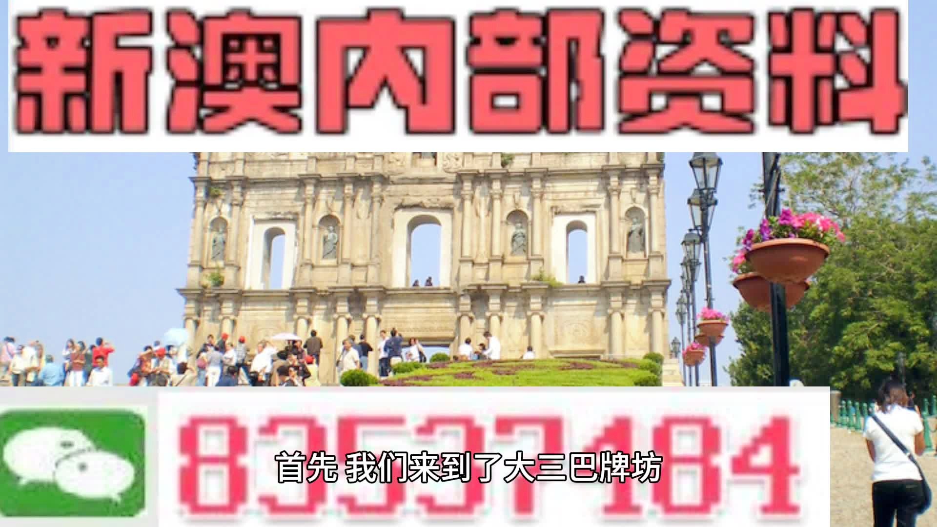 新澳2024年正版资料,揭示背后的真相与挑战_免费款B98.338