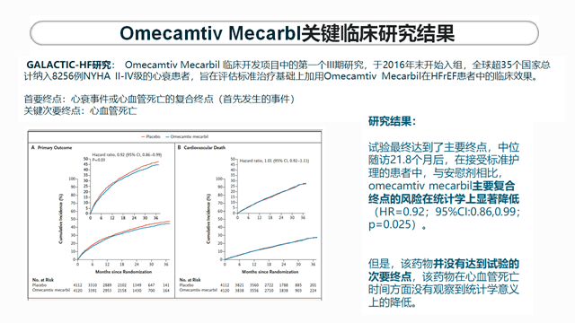 新澳2024正版资料免费公开,安全性策略评估_户外版G7.397