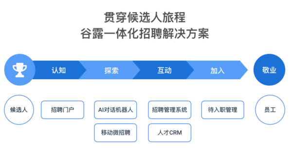 揭秘罗欣制药最新招聘内幕：揭秘人才选拔全过程，揭秘人才选拔全过程，揭秘罗欣制药最新招聘内幕