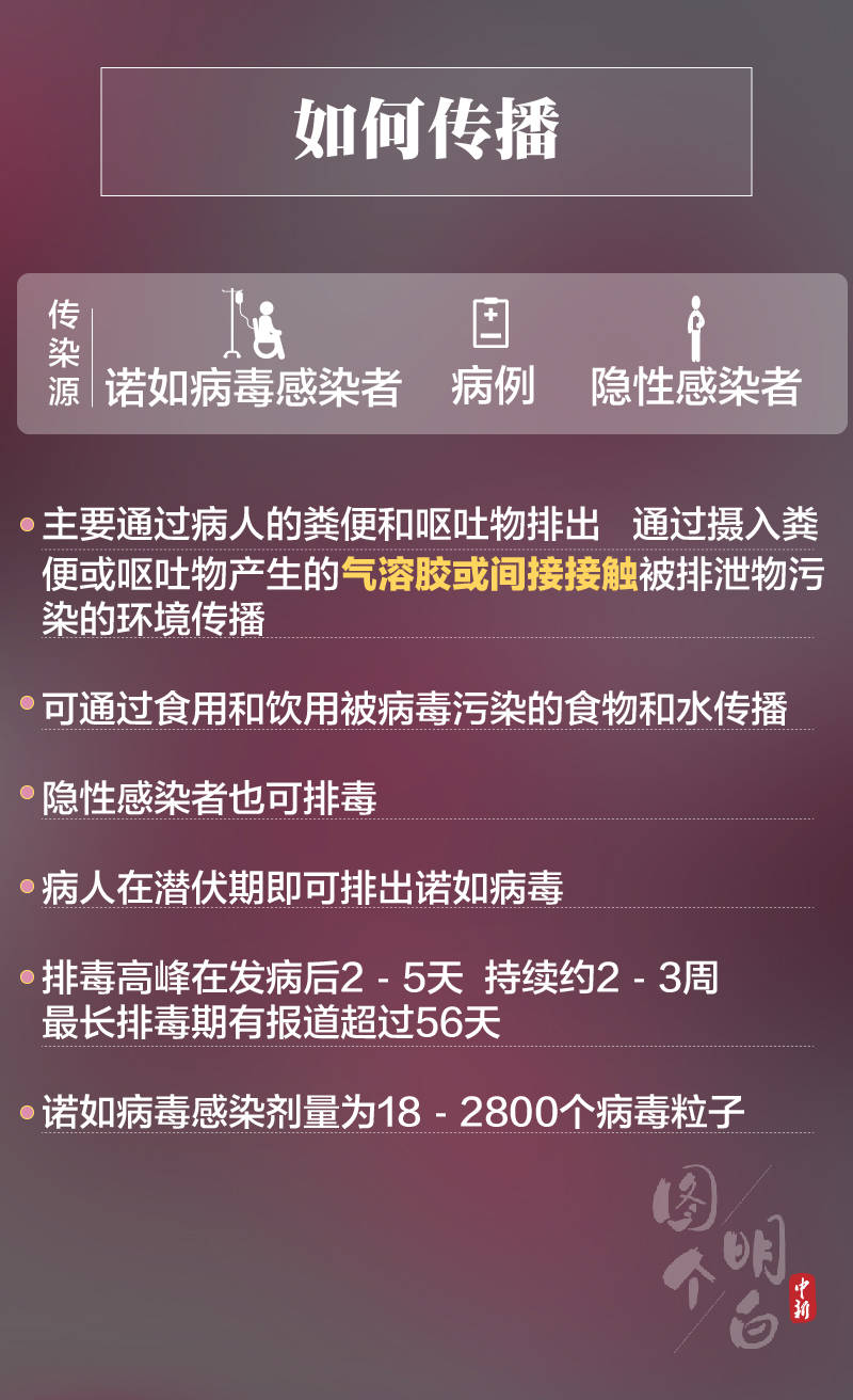 揭秘最新峭岐长白班招聘内幕，警惕骗局，求职者必看！