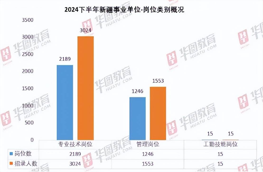 揭秘新疆最新招工动态：深度探索当前就业市场的机遇与风险