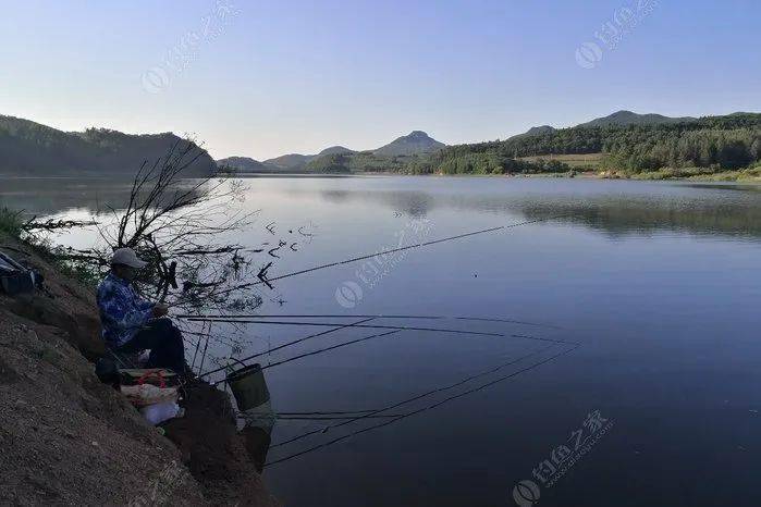 仕阳水库钓鱼最新,仕阳水库垂钓资讯速递