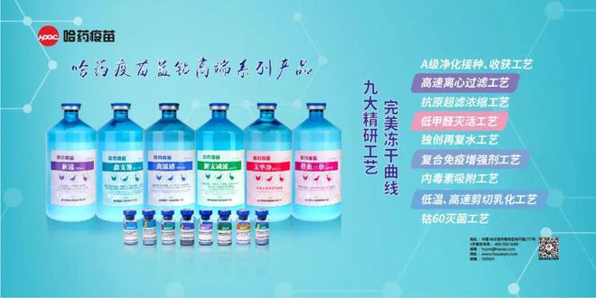 最新兽药配方,创新兽药配方揭晓