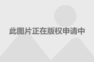 7777788888澳门王中王2024年,前瞻探讨解答解释路径_网络版W31.257