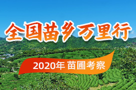 陕西苗木最新求购信息,“陕西苗木采购资讯更新”