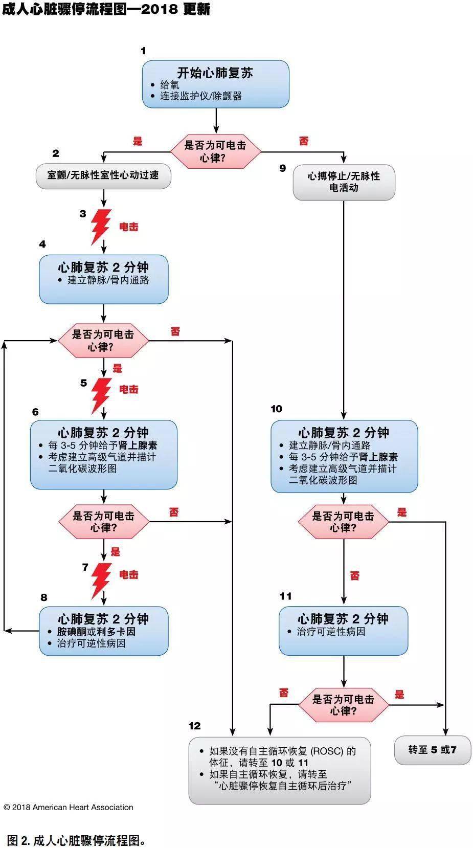 最新心肺复苏指南2017,2017版心肺复苏最新指南