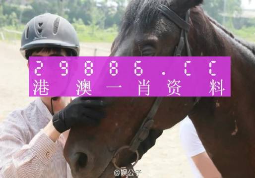 澳门一肖一码必中一肖｜人力解答解释落实｜复古款T80.368