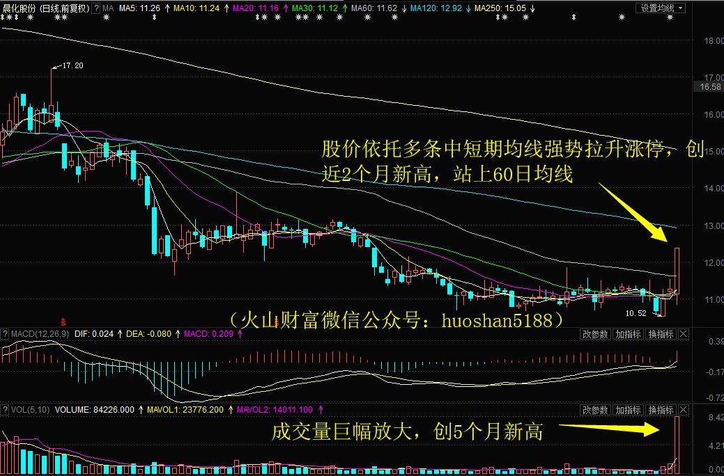 聚焦快读 第12页